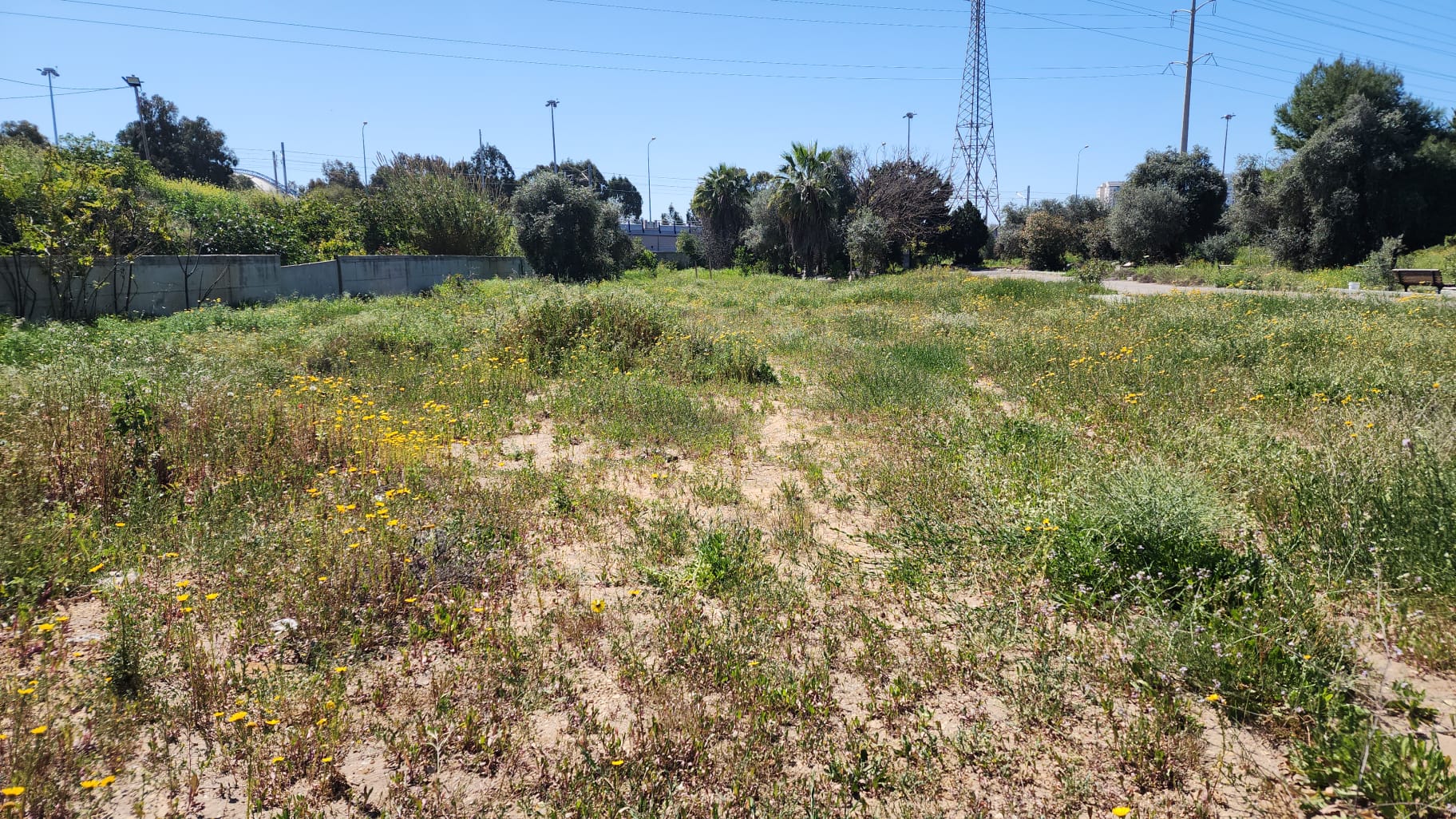 WhatsApp Image 2023-03-11 at 11.20.04 AM (2).jpeg